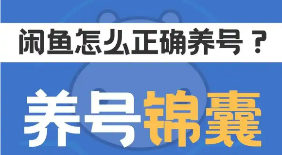 闲鱼刚注册的新号如何去养号
